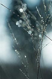 《星球大战：亡命之徒》获金摇杆奖两项提名